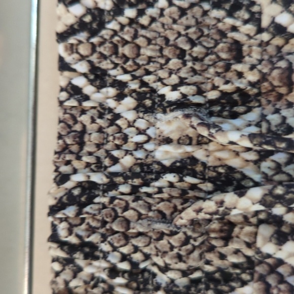 Tommy Bahama Desert Python Jogger Swim Cover-Up Pants S/P - Picture 15 of 16